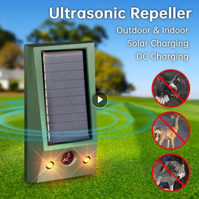 Repellente per uccelli ad ultrasuoni solare impermeabile deterrente per  piccioni forte LED lampeggiante repellente per parassiti repellente per  uccelli solare forniture da giardino - AliExpress