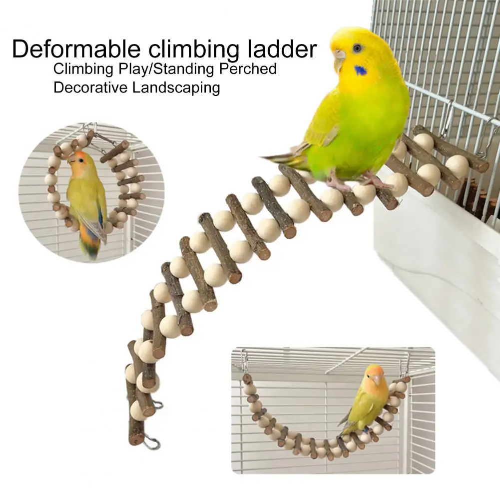 NaturalLandscapeBirdToyFunEnvironmentPetToyColorfulHanging