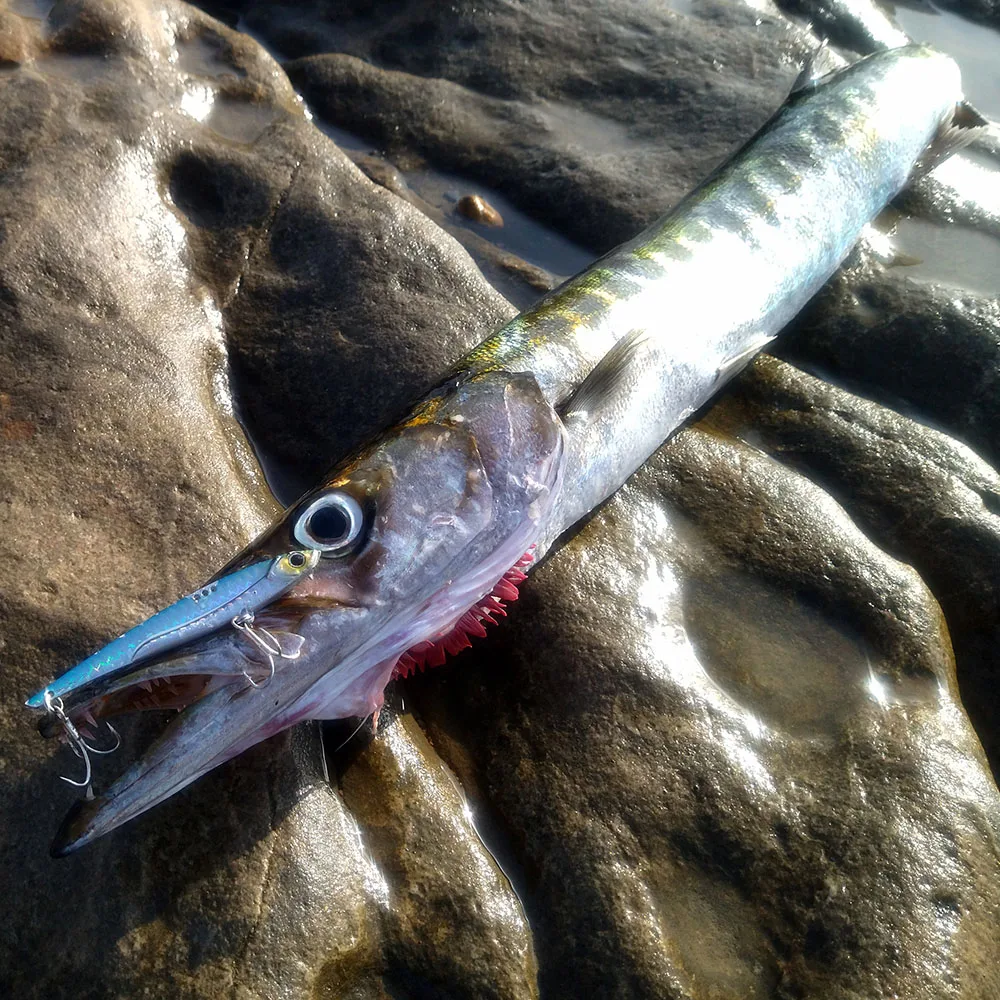 GOBAIT VIB Angelköder, 20 g, 25 g, 30 g, Metall-Jig, sinkende Klinge, Haken, Spinner, Löffel, Guss, Vibration, Kohlenstoffstahl, Tackle, harter Köder – Detail 4