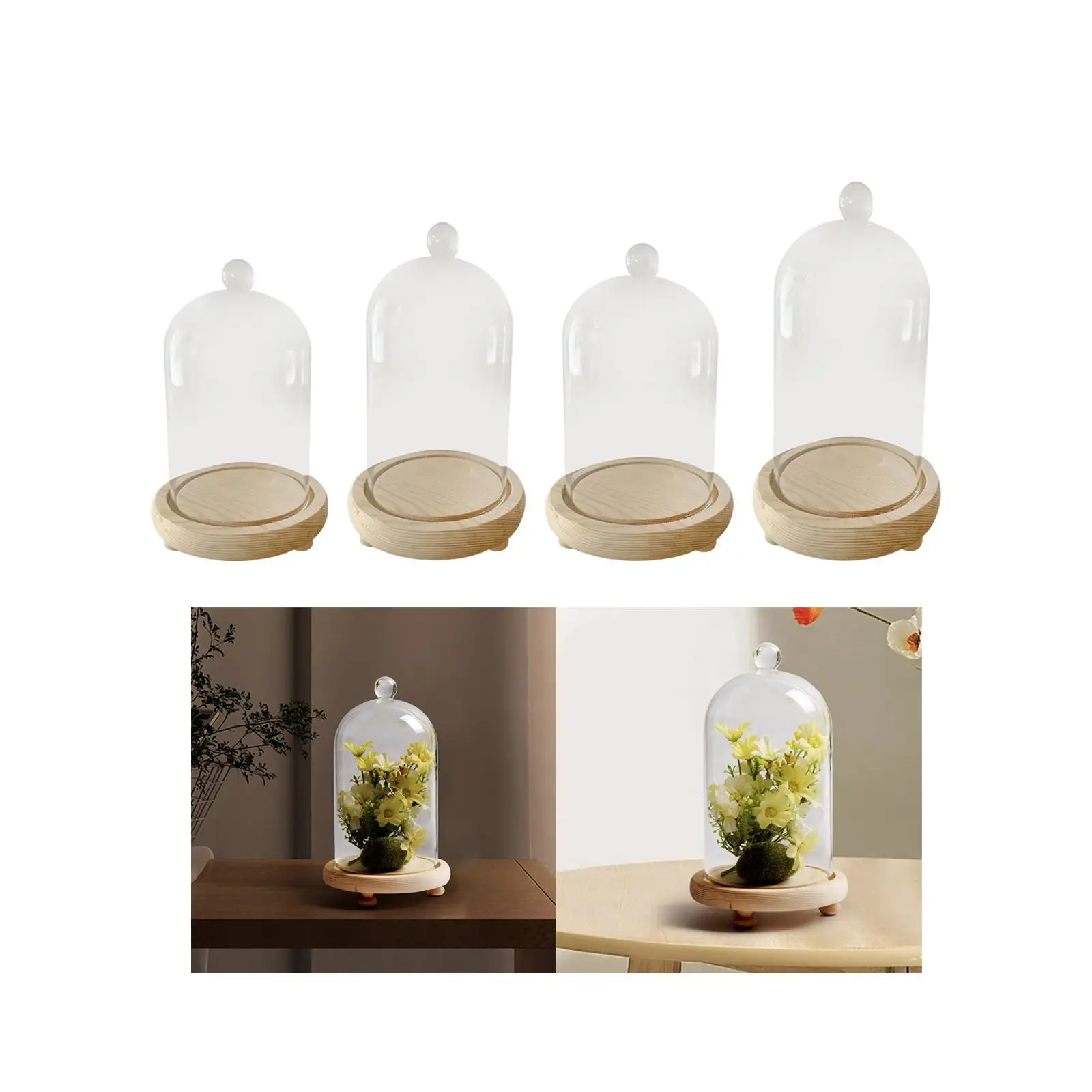 Glass Display Dome Cloche Bell Jar Multipurpose Portable Cover Showcase Wood Base for Home Office