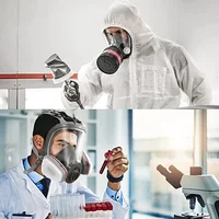 Full Face Industrial Gas Mask Respirator