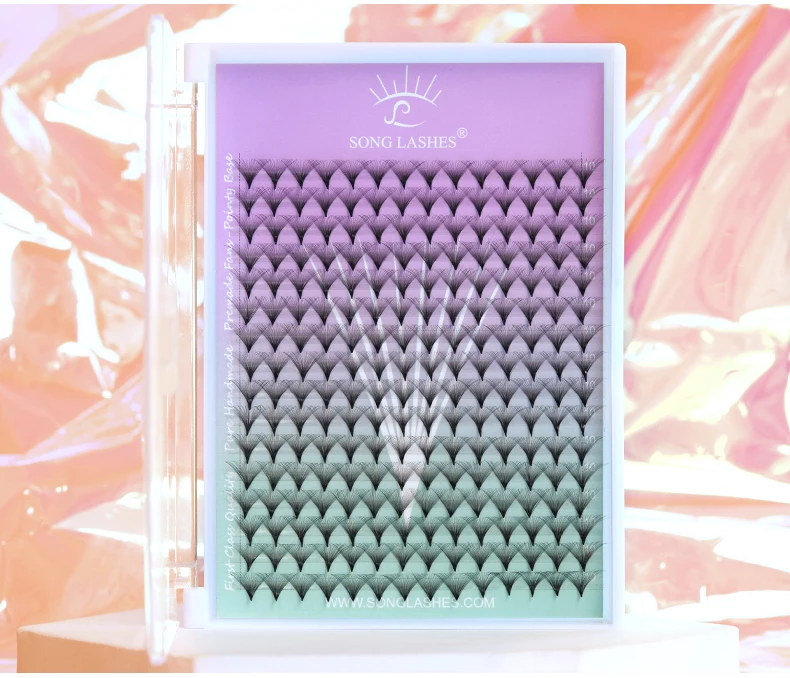 H&L SINCE 1990 30D&40D Wimperncluster, vorgefertigte Fächer, Einzelwimpern, starkes Bündel, Basiswimpernverlängerung, koreanische Wimpern – Detail 12