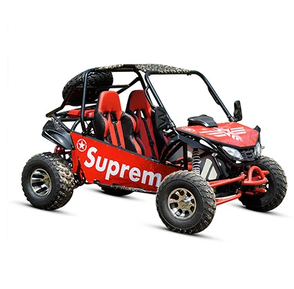 2023 80 km/h 2 Sitzer Luftgekühlten Günstige Benzin Erwachsene Gokart Go- kart, 4 hub 208CC Racing Go Kart Kreuz Buggy - AliExpress