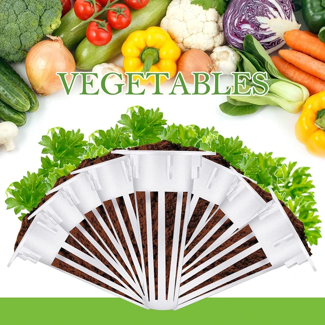 50 Db Hidroponika Soiilless Grow Sipos Ültetési Kosarak Napernyő Matricák Aerogarden Ültetéshez Szükséges Készletekhez - Image 5