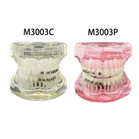 Dental Orthodontic Typodont Teeth Model With Self-Ligating Metal Ceramic Bracket Lingual Hawley Retainer Ligature Standard Demo 2
