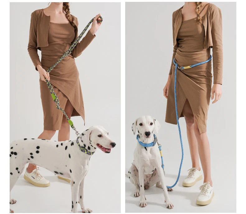 Reflective Series Dog Leash For Small Medium & Large - PeticaDeals