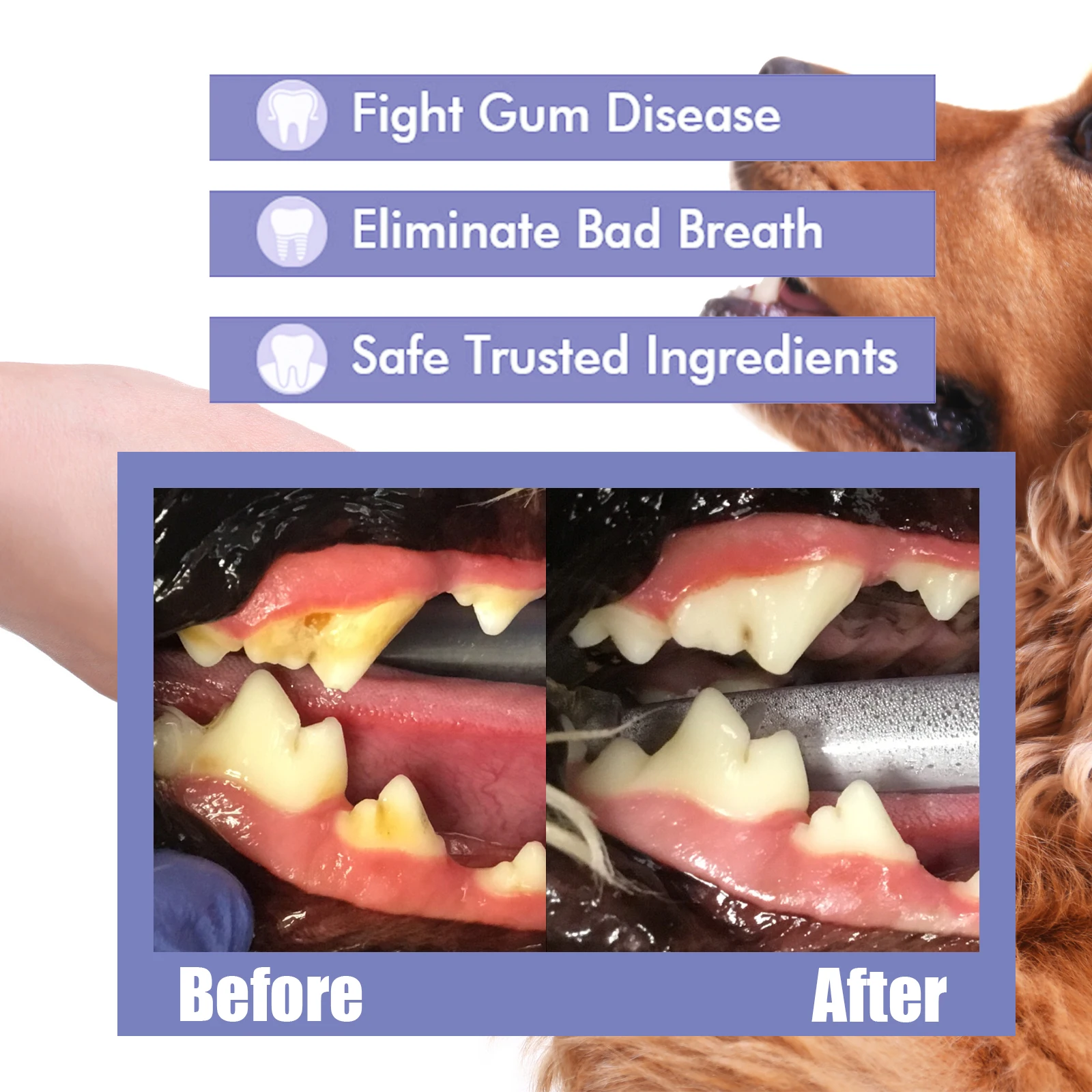 30ml Tooth Cleaning Spray For Cats And Dogs Fight Gum Disease-Remove Stains-Freshen Breath Cats And Dogs Pet Oral Care Spray