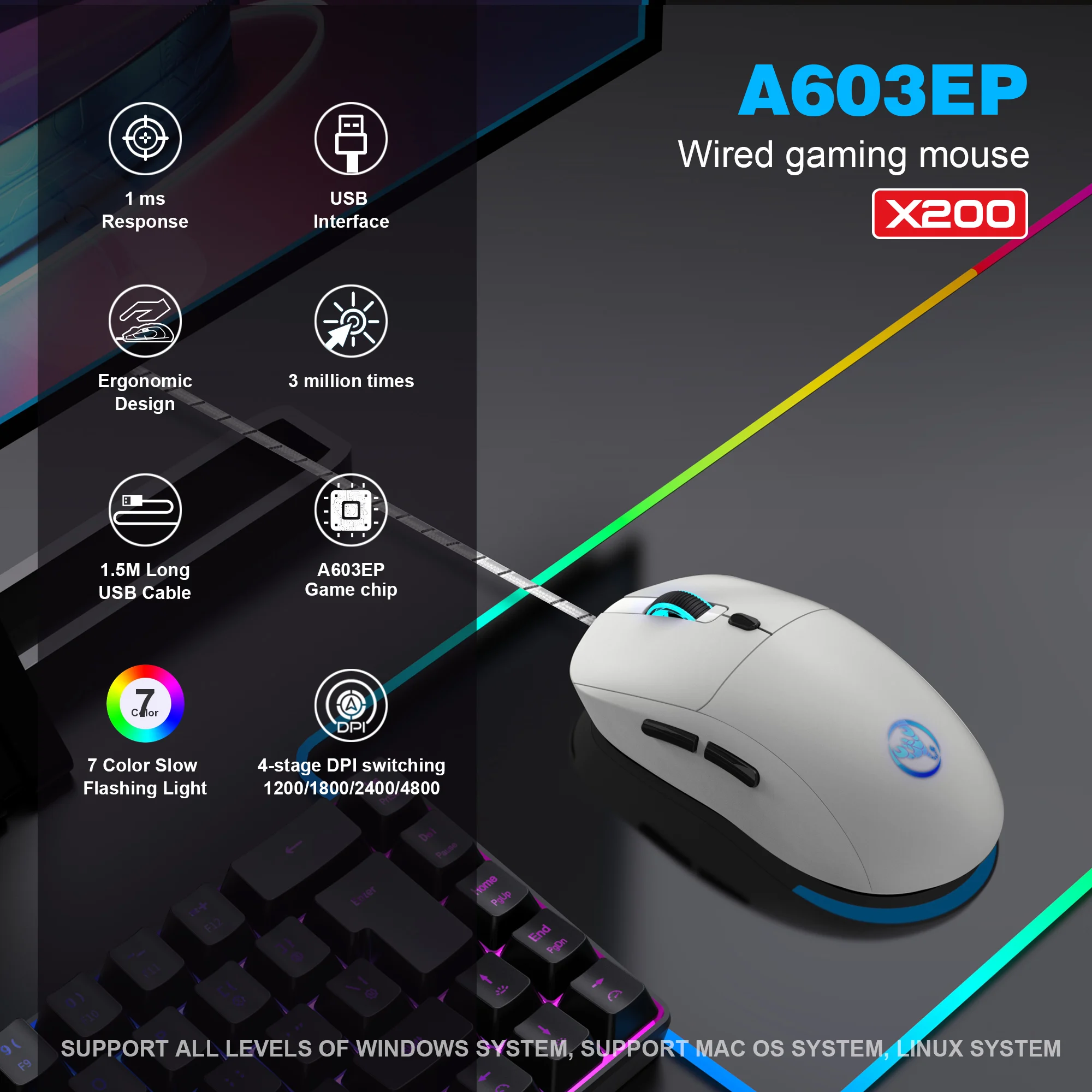XJX 200 Mouse Review: Is This the Right Ergonomic Wired Mouse for Office  and Gaming in 2024?, image size:2000x2000