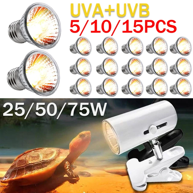 5-15 adet 25/50/75W UVA + UVB sürüngen lamba ampulü kaplumbağa Basking UV  ampuller isıtma işık tam spektrum amfibi için Sunlamp - AliExpress