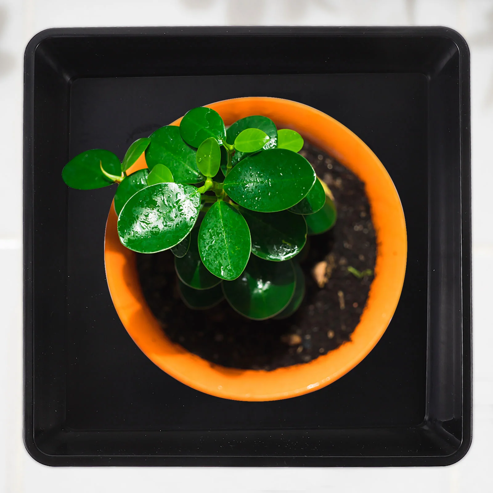 

Stylish Plants Pot Trays Square Plastic Flower Pot Tray Tray Classic Garden Pot Trays Durable Flower Pot Pallets Plants Trays
