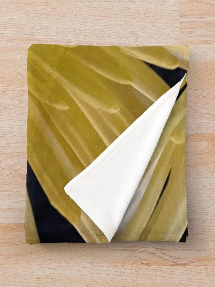 �������� ����Ʈ ������ ���, ���� ���� ���