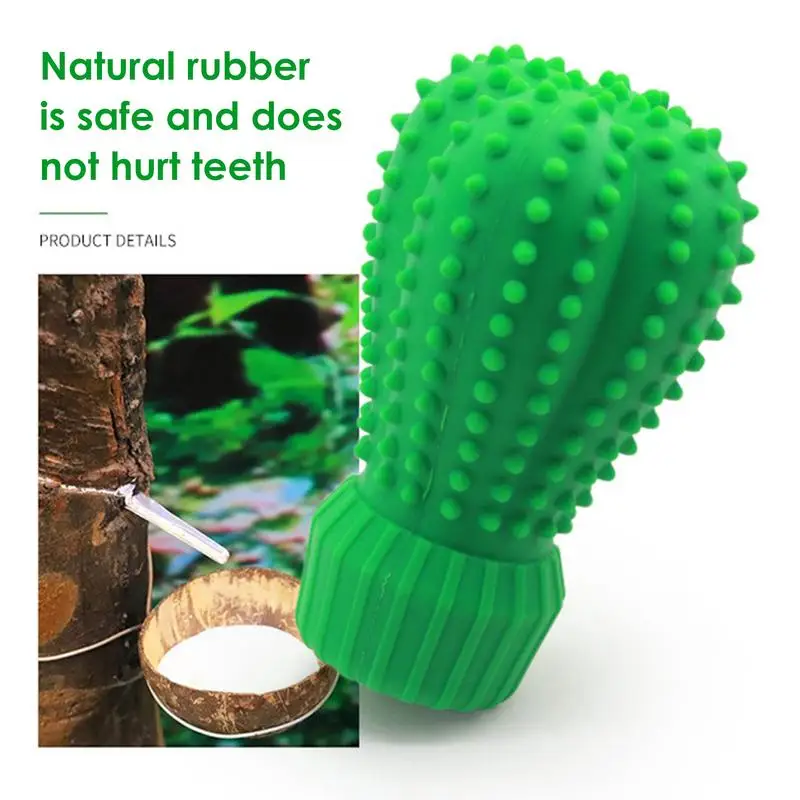 Feeko Natural Rubber Squeaky Durable Dog Toys Cactus For Large Dogs Chew  Cleaning Teeth Interactive Toys For Dog Pets Products - Dog Toys -  AliExpress