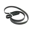 6PJ600 7PJ600 10PJ600 8PJ600 5PJ600 PJ600 Drive Belts Rubber Drive Belts 1