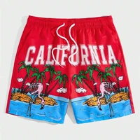 Holiday Style 3d Printed Shorts For Men's Outdoor Sports Surfing Board Shorts Fashion Leisure Trend Quick Drying Short Pants 1