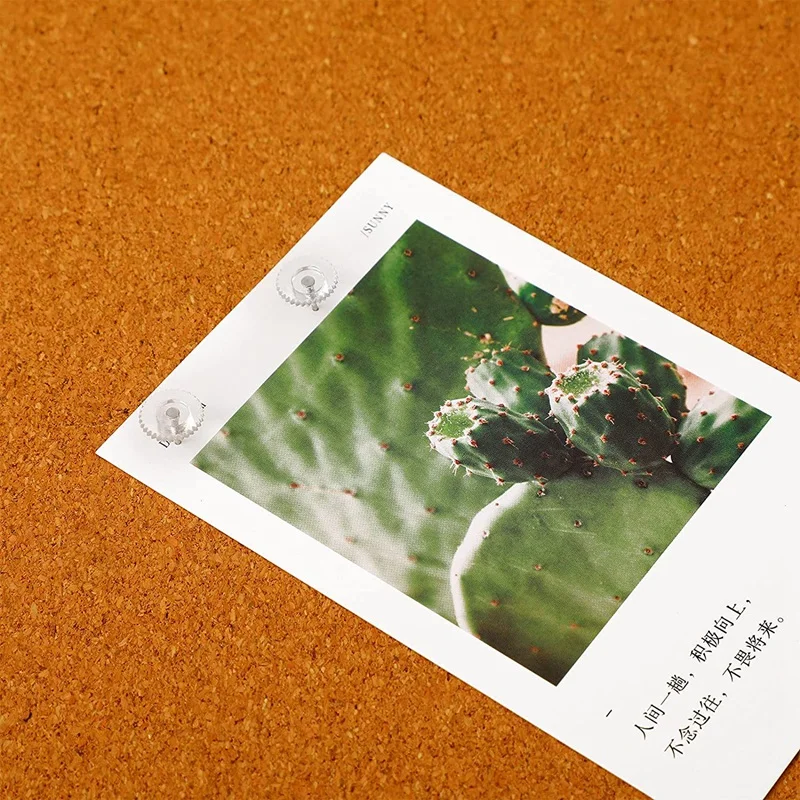 Рисунок 5 - Прозрачные штифты