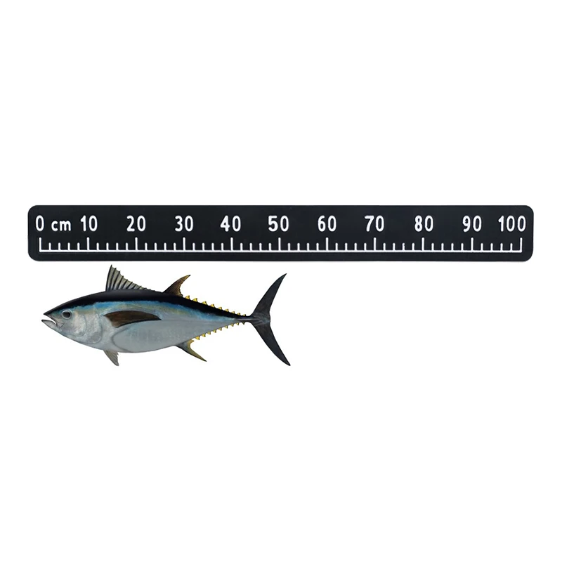 EVA Foam Boat Fish Ruler 100CM Self Adhesive Fishing Measuring