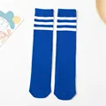 Blue Stripe Socks