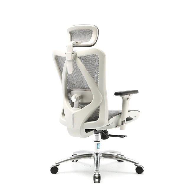 Sihoo M57 Ergonomic Chair