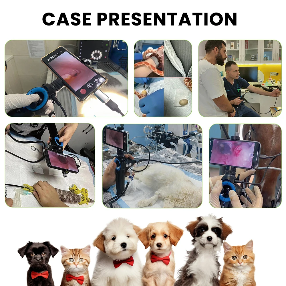 veterinary video Laryngoscope gastrointestinal/bronchus endoscopy with 360° rota