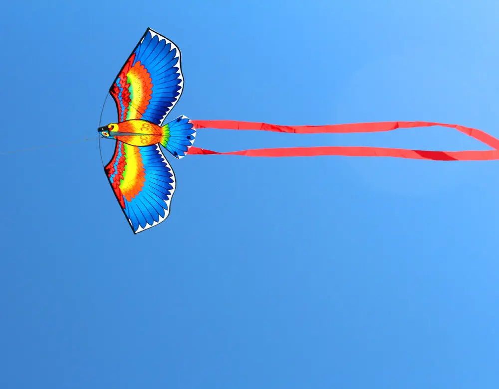 Colorful rainbow kite Eagle kite Plastic kite Butterfly kite Beach delta kite Delta kite Beach kite Stunt kite Unicorn kite Plane kite Snake kite Power parafoil kite Chinese dragon kite Foal kite Parafoil kite 43inch Parrot Bird Kite With Handle And Line For Kids