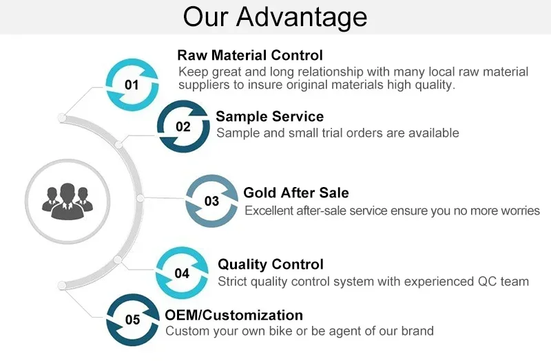 TWITTER OVERLORD 27,5/29iner WheelTop EDS-13S cambio electrónico freno de disco de aceite suspensión completa bicicleta de montaña de fibra de carbono MTB