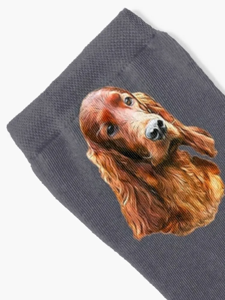 Irish Setter - Glamorous Dog!Socks Anti-Slip Socks Happy Socks Men
