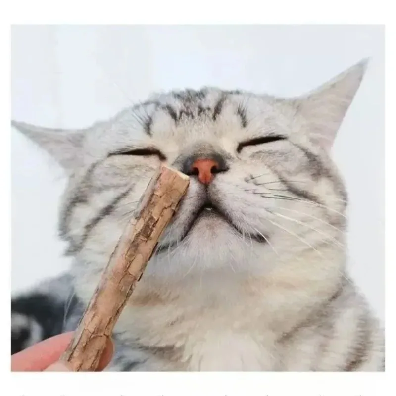 Natural Silvervine Sticks Chew Toys for Cats