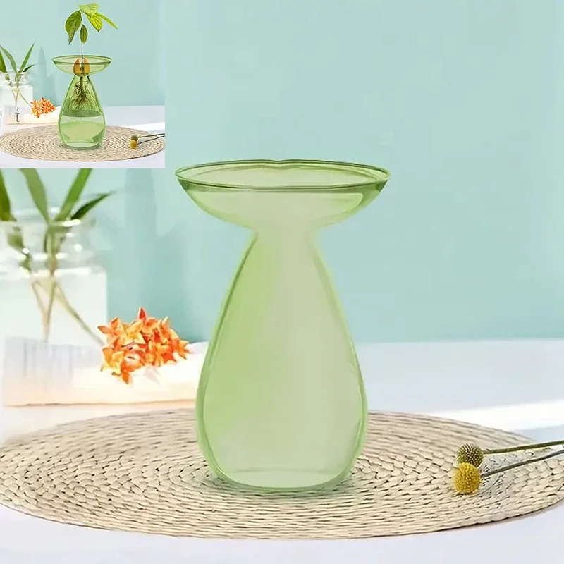 Vibrant Glass Avocado Vase - Transparent Hydroponic Seed Sprouting Planter & Contemporary Home Accent