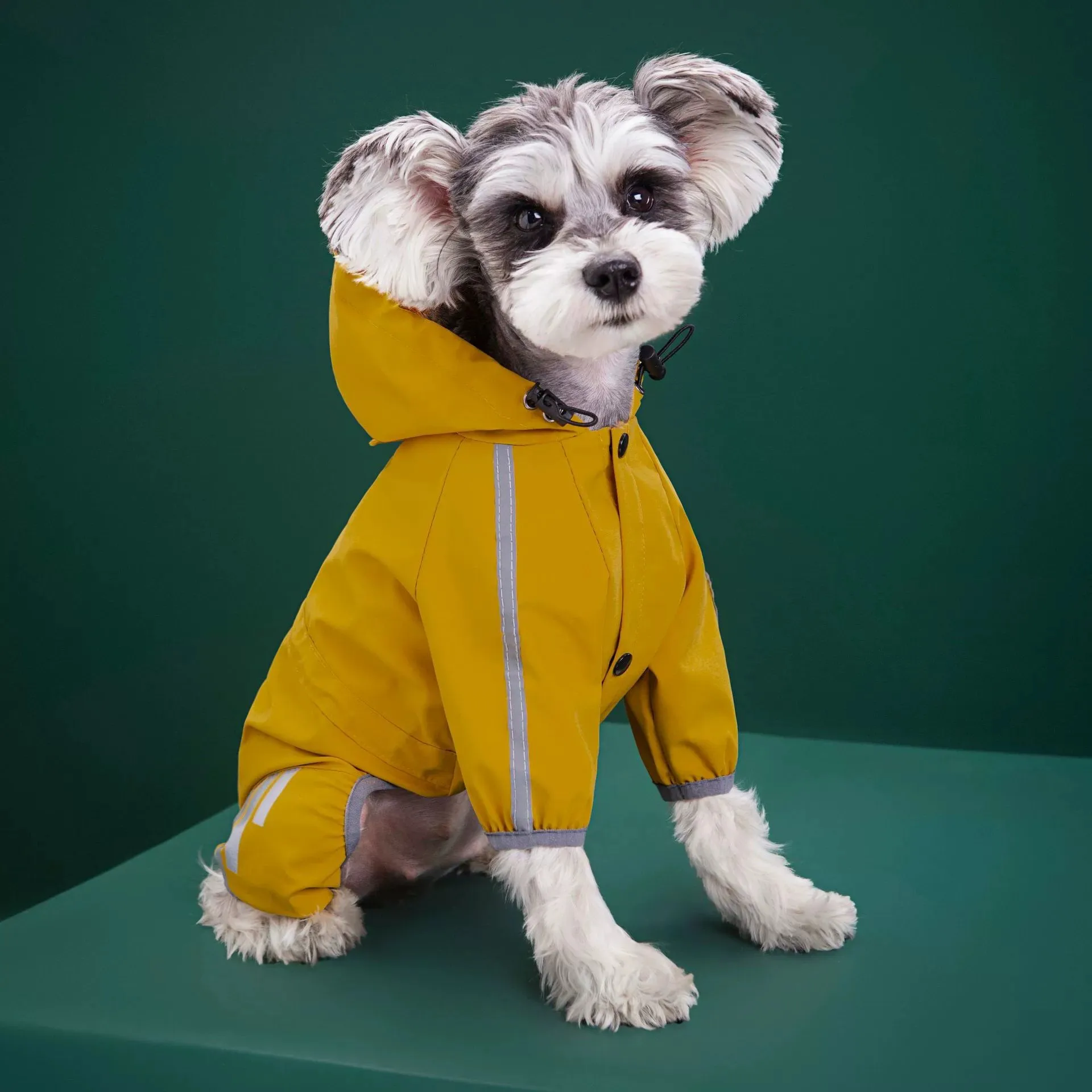 Dog windbreaker waterproof reflective hoodie jacket one piece 