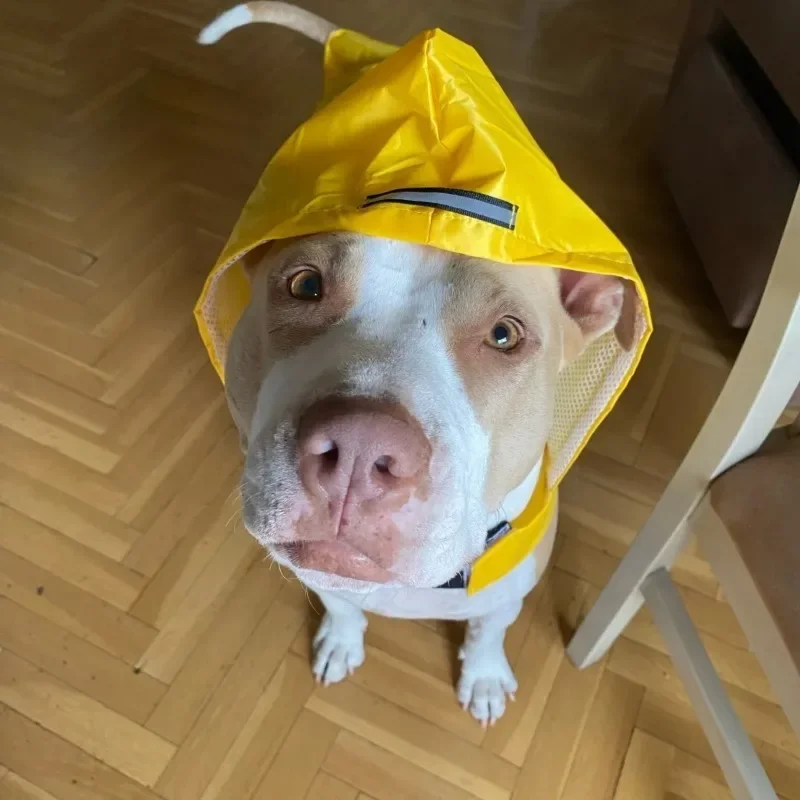 Dog Raincoat Waterproof Hoodie Jacket Rain Poncho Pet Rainwear with Reflective Stripe