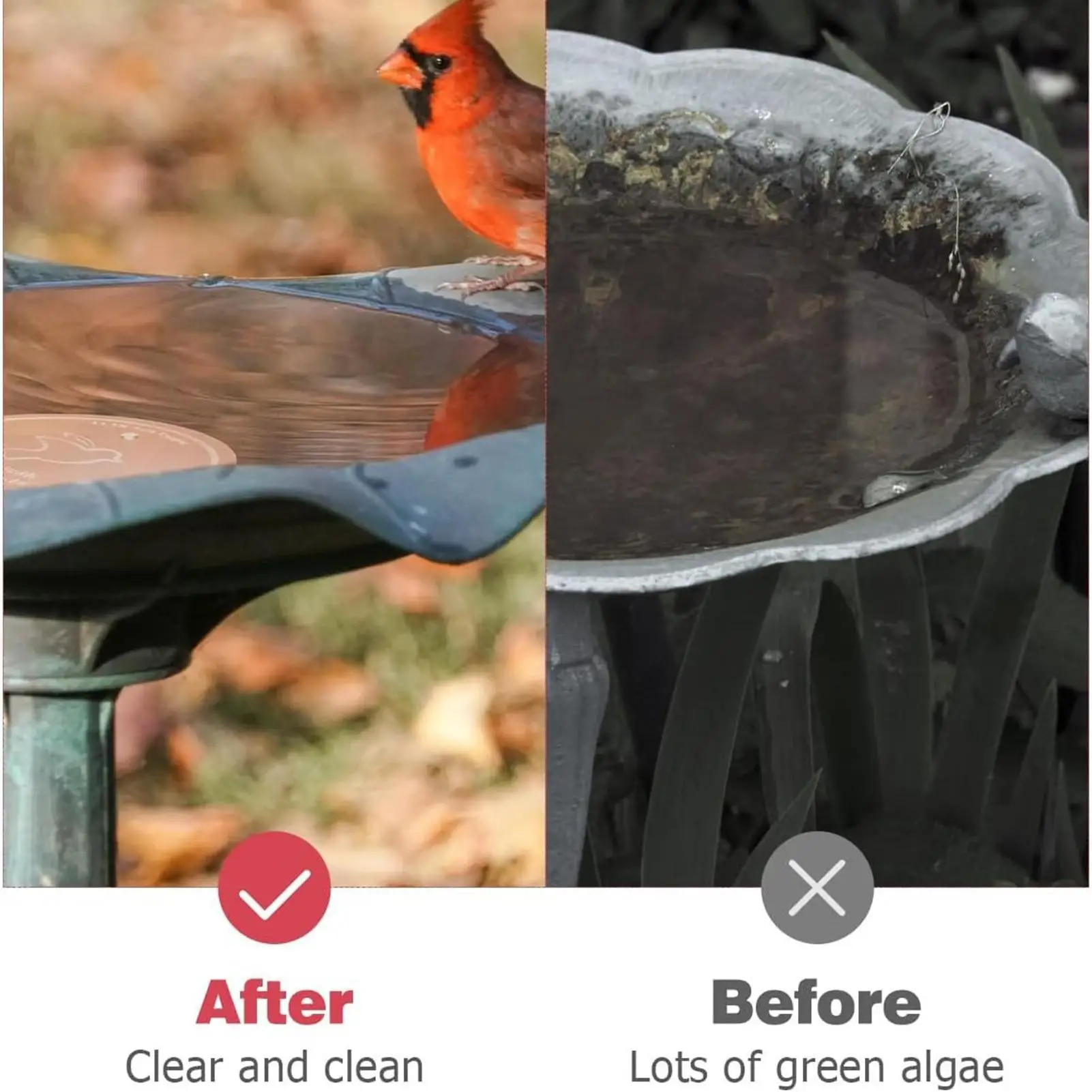 금속 새 목욕 트레이 구리 새 목욕 디스크 야외 급이기 청소 용품 삼중 지지대 정수 디스크 물통