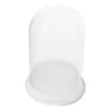 Moss Eco Bottle Plants Glass Cloche Bell Artificial Micro Landscape Accessory Clear Dome Display Ecological Desk Terrarium 6