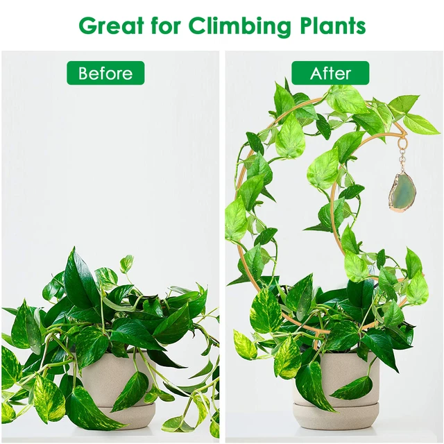 Hold Alakú Növényi Rácsos Hegymászó Virágállvány 20 Darabos Kábelkötéssel Tartós Kerti A Mászó Növény Beltéri Kültéri - Image 5