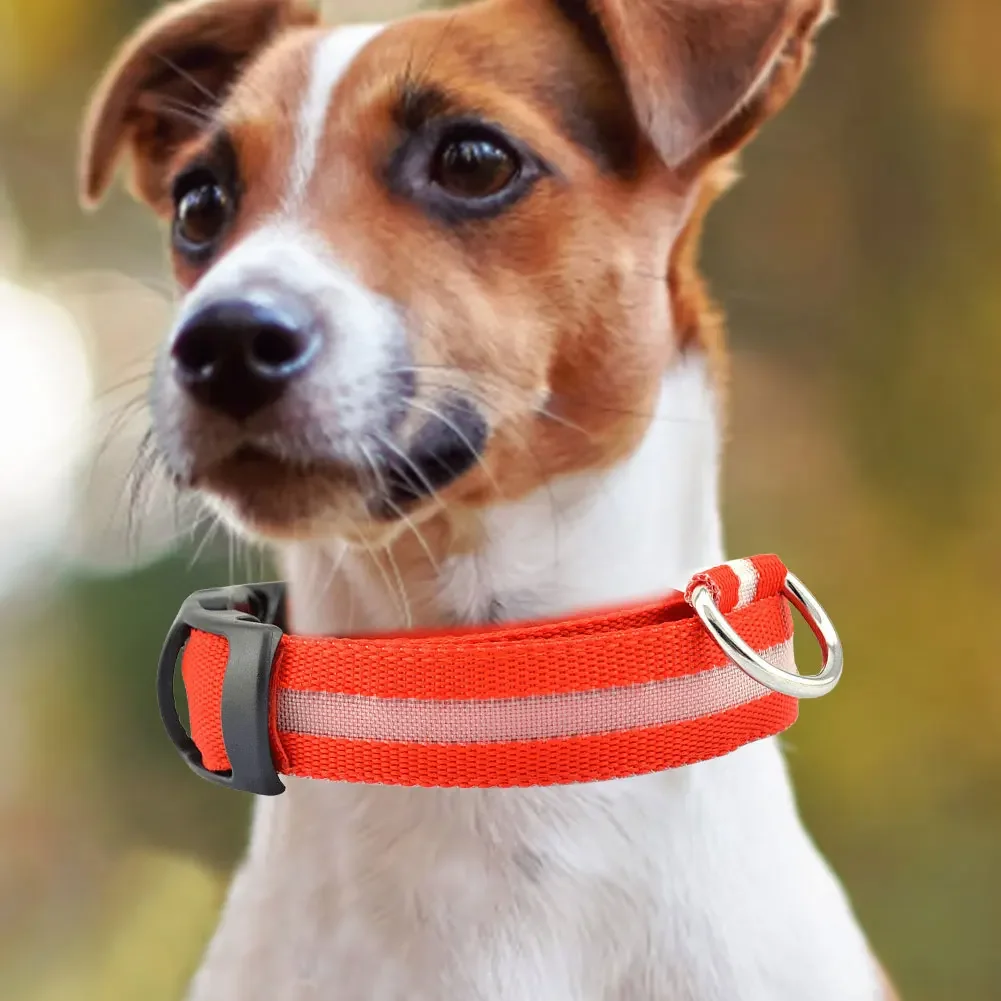 LED Dog Collar for Small Medium Large Dogs USB Rechargeable 2