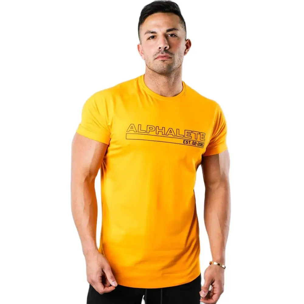 Lo mejor camisetas gym hombre - T-Shirts 2024 - Aliexpress