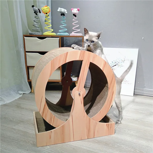 Roue d exercice pour chats jouets d escalade Tunnel pour chats pistes de jouets interactifs grattoir