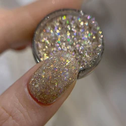Radiant Sparkle Nail Art Glitter Powder & Holographic Decorations Set (FB286 - 2)