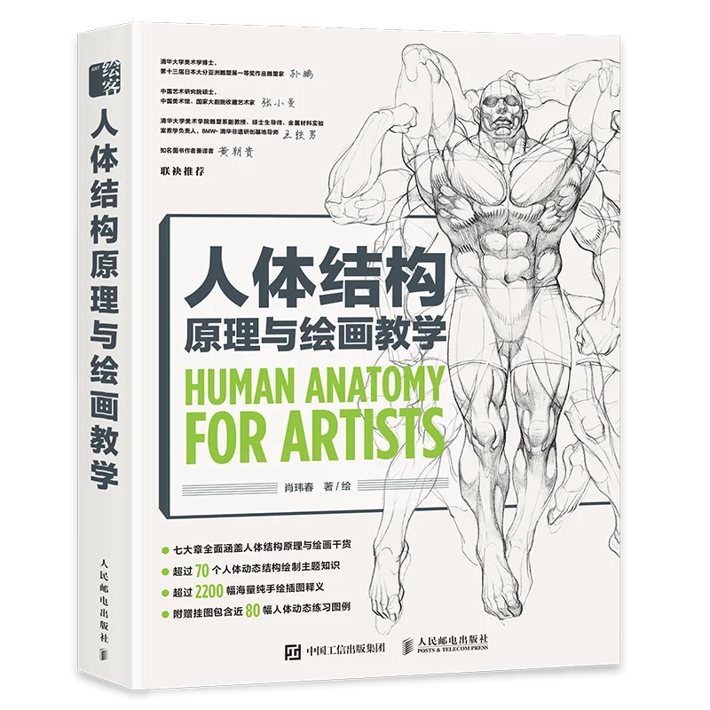 

Principles of Human Body Structure and Painting Teaching By Xiao Wei Chun Painting Teaching Book Basic Tutorial Books