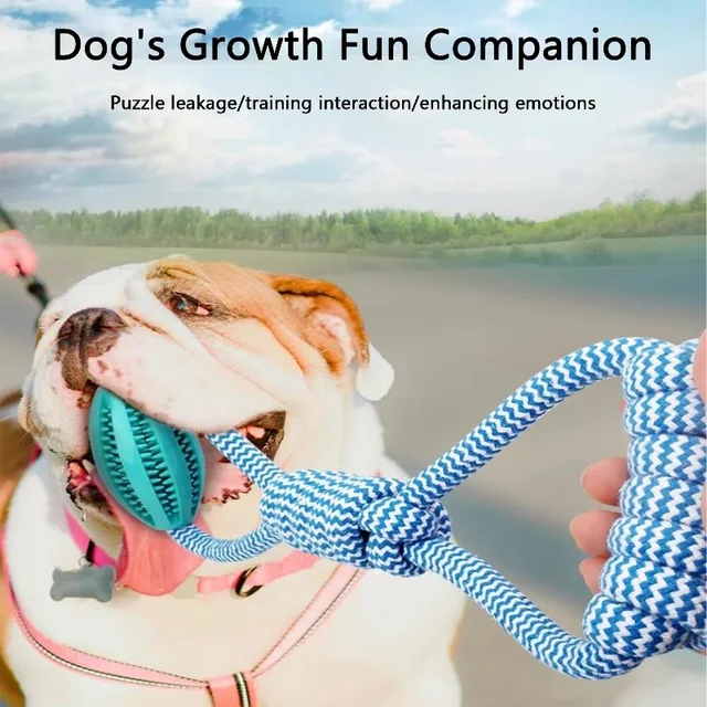 S17fe01aca9884aaeb75f6f9b30fc2421Y.jpg Pet Chew Toy Ball 12-Pack - Braided Rope Dog Toys, Dental Cleaning, Treat Dispenser, Fetch & Tug Play, for Small/Medium Dogs (As