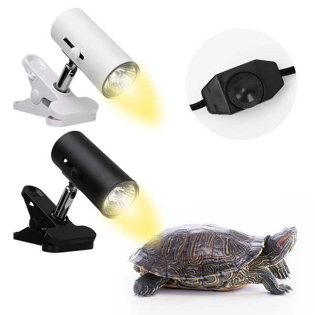 Douille de lampe E27 à pince avec interrupteur pour tortues