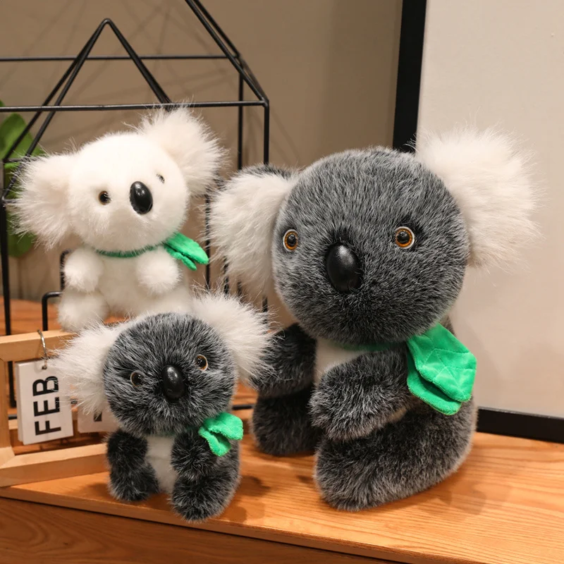 Koalas
