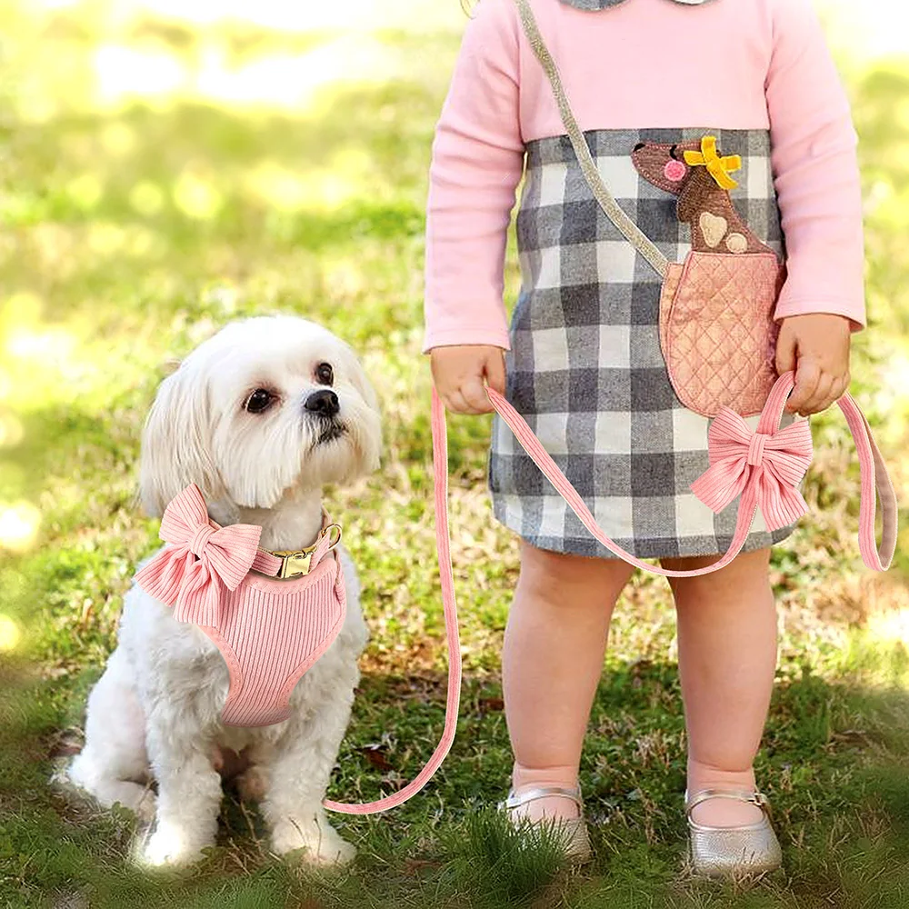 Cute Bowknot Dog Collar Harness Leash Set Soft Harness Vest for Small Medium Dogs Outdoor Walking