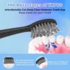 10pcs Replacement Toothbrush Heads Compatible with Burst Adult Electric Toothbrush for Seago S9 S1 S6 S8 S21 S26 S28 SG540 SG860 3