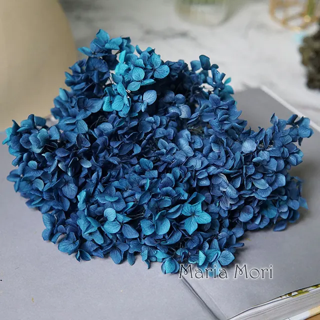 Anna Hydrangea  Flowers  Little  Leaves Preserved Hydrangea Decor  Office Decor  DIY Flowers Gradient colour 73B