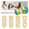 Interactive Dog Toys For Small Large Dogs Cats Improve IQ Indoor Training Puppy Toys Chihuahua French Bulldog Pug Pet Supplies 5