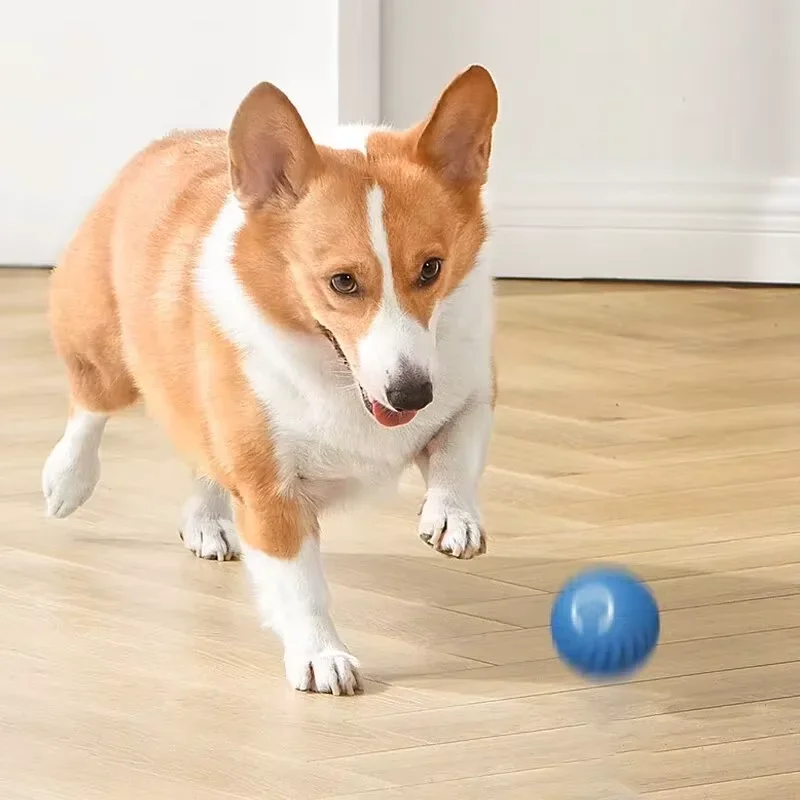 Dog Toys Intelligent Gravity Jump Ball Rechargeable Bite-Resistant Rolling Ball Cat And Dog Chase Interactive Pet Toys 3