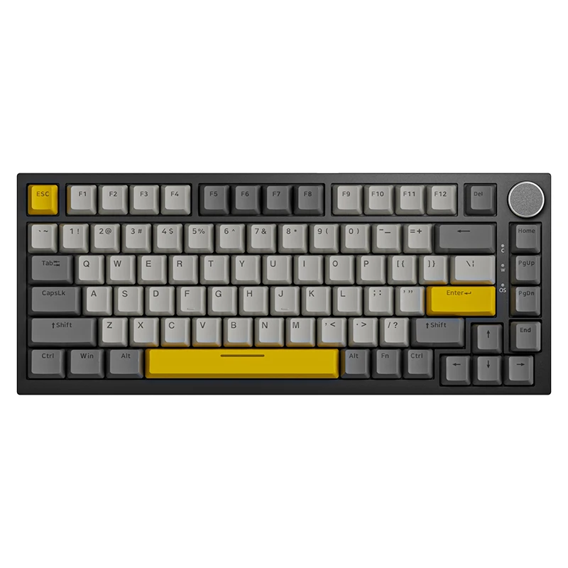 

Ajazz AK820 75% Gasket-mounted Type-C Wired Mechanical Keyboard Compatible with Mac/Win South-facing LED with 1.6M RGB