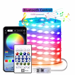 Enchanting LED Bluetooth Fairy Lights - Dreamcolor RGBIC DIY Party & Wedding Decor Garland, USB - Powered (Multiple Lengths Available) - 5m (Bluetooth with rc)