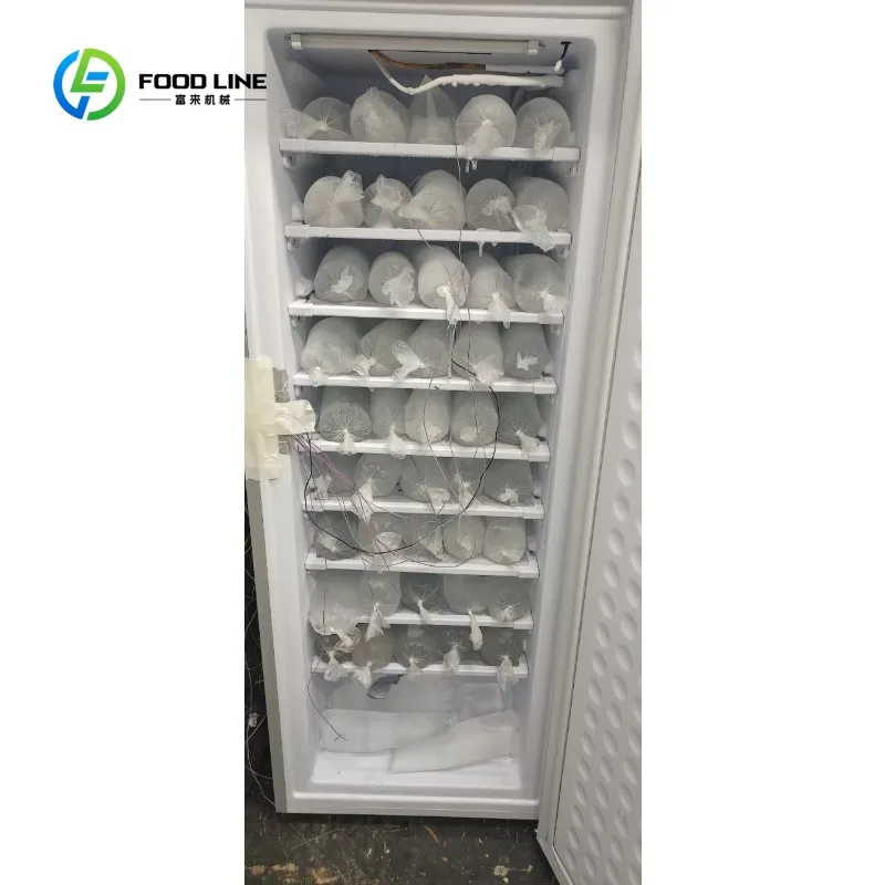 Macchina per il Ghiaccio Solare Personalizzata ad Alta Efficienza DC 12V 24V, Produttore di Ghiaccio a Proiettile Portatile Off-Grid Alimentato a Energia Solare - immagine 6