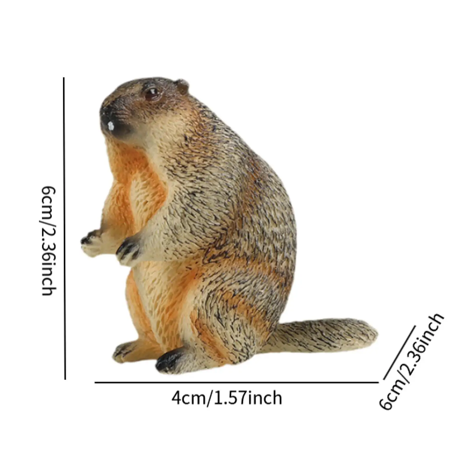 Groundhog Model Figure Marmots Sculpture Mini Crafts Lifelike Decorative